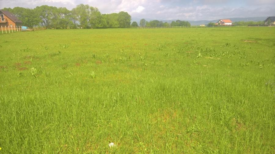 Teren rezidential pozitie deosebita RASNOV - GLAJERIE - 3