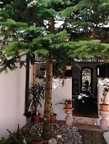 Vanzare casa renovata 2 camere curte proprie foisor Cotroceni - 2