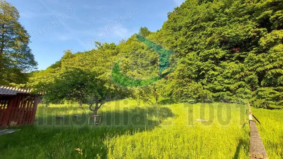 Casuta din Povesti, Baita, 1332 mp teren intravilan, la liziera padurii - 7