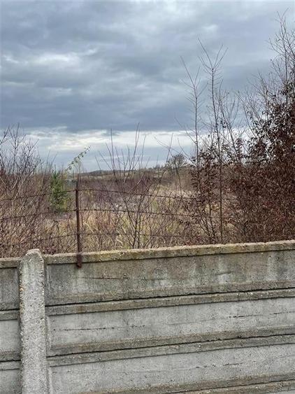 RECO vindem teren intravilan in Suncuius - 1