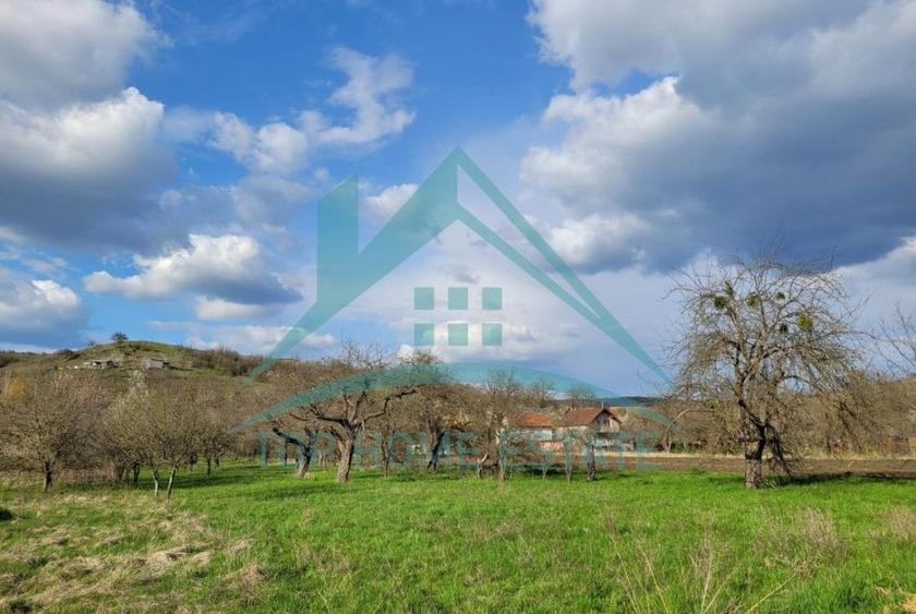 EXCLUSIVITATE! Teren intravilan de vanzare in zona linistita, sat Vlaha! - 6
