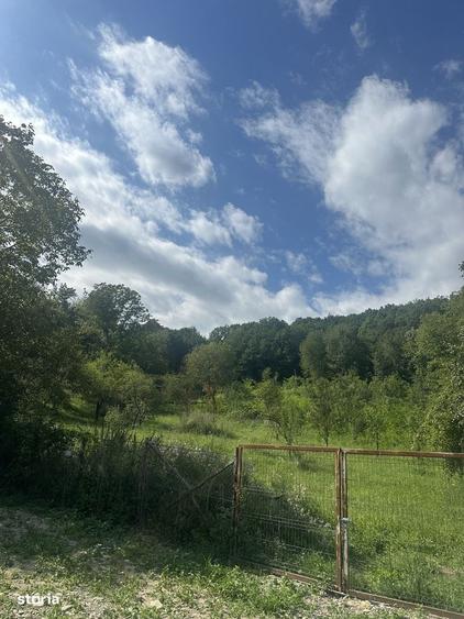 Telega - casa - teren 13000 mp/8000mp padure - 170000 Euro - 12