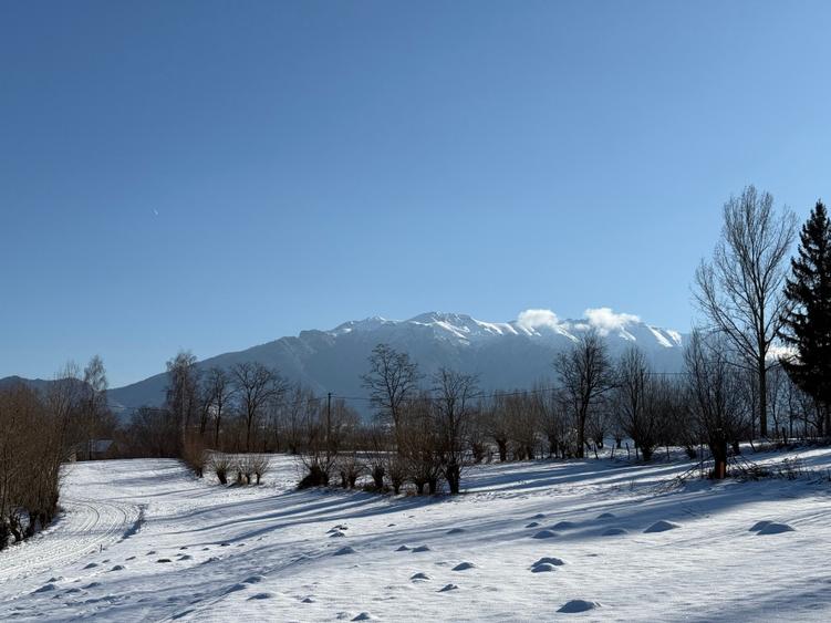 Teren intravilan zona Bran-Tohanita,judetul Brasov loturi intre 500 si 1000 m - 7