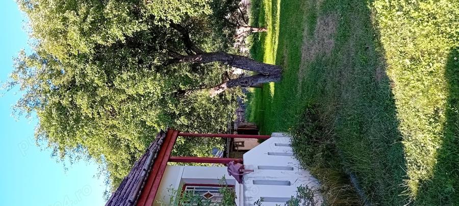 Casa ieftina la munte,Balan, Harghita toate utilitatile - 3