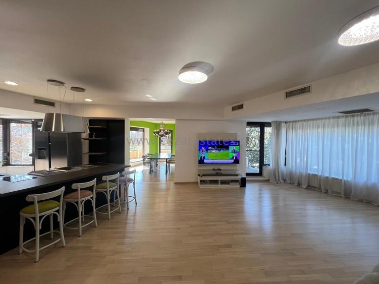 HERASTRAU SOSEAUA NORDULUI APARTAMENT 5 CAMERE  VEDERE PARC - 3