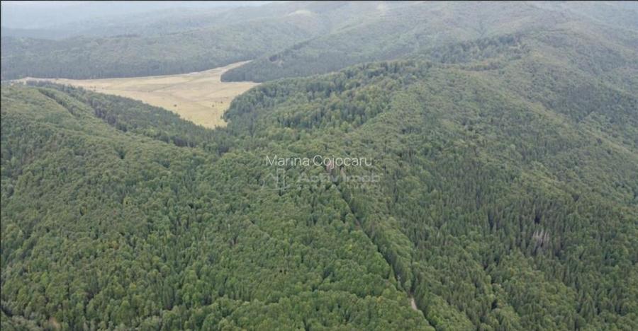 Teren 7 ha, Lac Vidraru, Podis Molivis