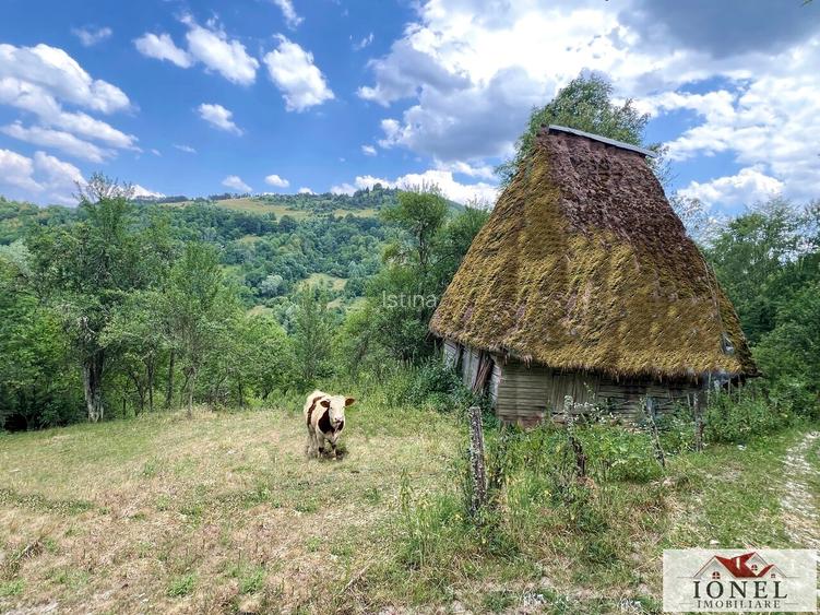 Casa de vanzare in Muntii Apuseni cu 17.596 mp teren