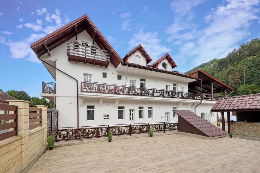 Proximitate imediata fata de Castelul Bran - 1