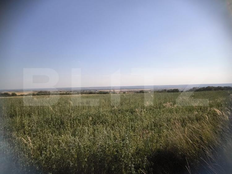 Teren 30.350 mp (600 mp intravilan) – ideal investitie, Carcea Metro - 3