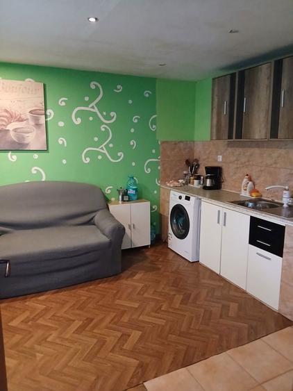 Casa si gradina de vanzare - 1