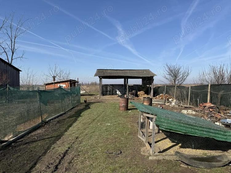 Casa de vanzare in Cadea Mare - 8