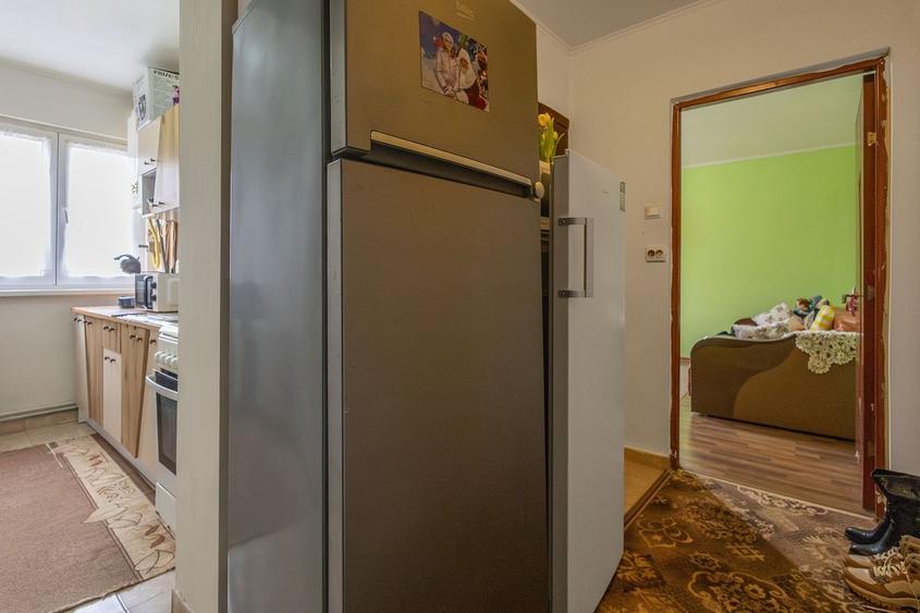 De vanzare apartament 2 camere in Buzias - 4