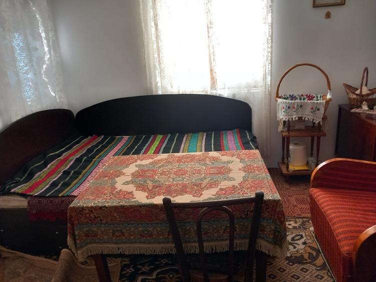 Casă de vânzare - jud. Buzău, Sat Lanurile, com. Ziduri - 11