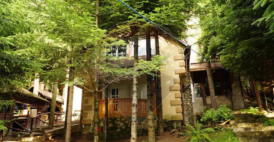 DE VANZARE Pensiune | 12 camere | Bisoca / Buzau - 17