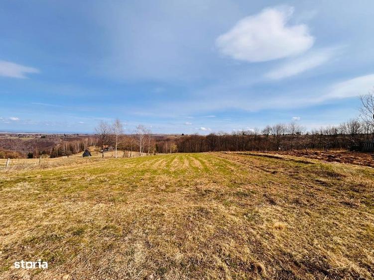 Teren intravilan ideal pt cabana - 6