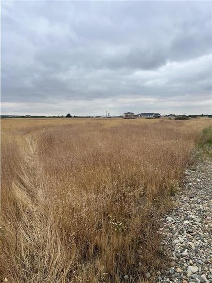 RECO teren Cihei - 2