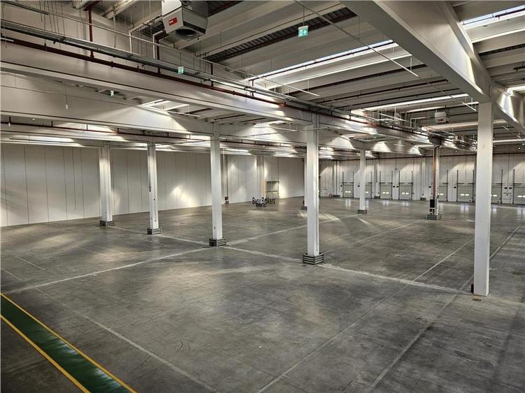 Spatiu Industrial - 5000 mp - Logistica - Depozitare - Distributie - 3