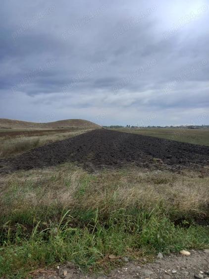 Teren intravilan Maracineni - 3