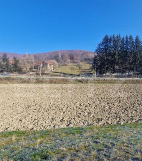 Teren extravilan - Sita Buzaului -6800 mp posibilitate trece - 5