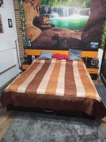 Proprietar vand Casa cu 2 camere si 2 bai, CURTE COMUNA Sector 6 - 3