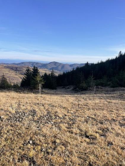 Teren de vanzare - 7