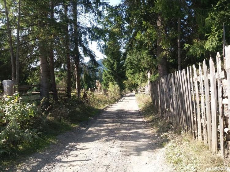 Teren de 21500 mp, în Ortoaia