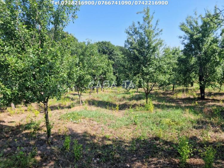 Casă individuală cu 3 camere cu Teren 4721 Mp în Dănești