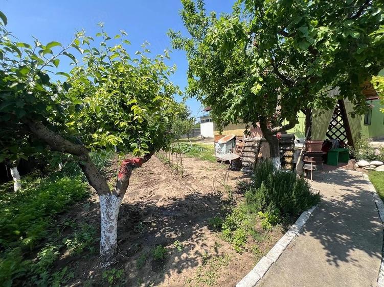 Casă cu Teren 999 Mp în Central