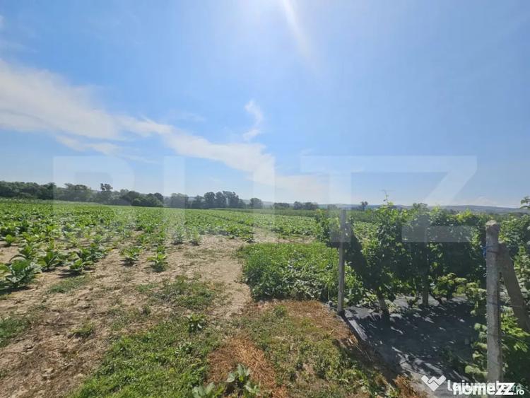 Teren extravilan 14.000 mp, Drambar Ciugud | solarii, f - 13