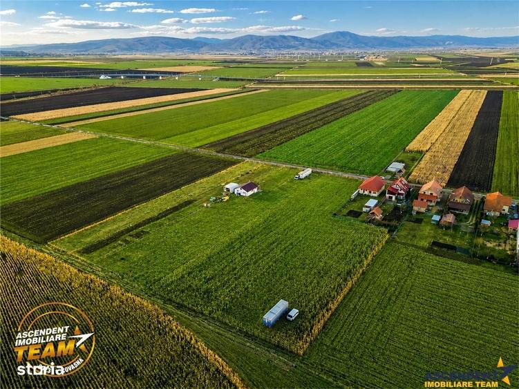 Spațiu comercial, în Chilieni