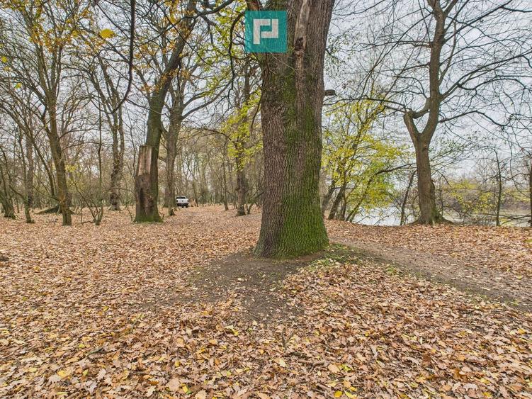 Teren extravilan de 5000 mp, în Periam