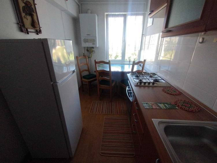 Pet Friendly ! Apartament 2 camere, CTP, Disponibil Imediat, Centru Civic - Zona Garii - 5