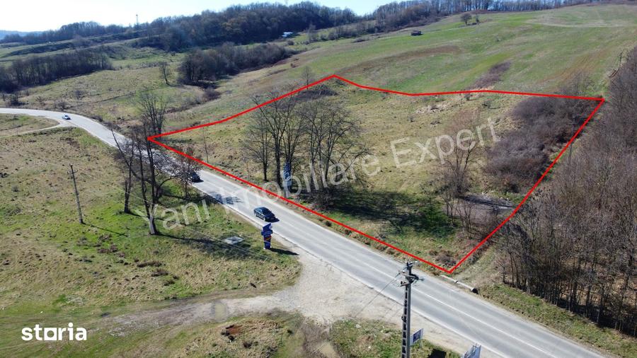 Teren de 10000 mp, în Valea Iașului