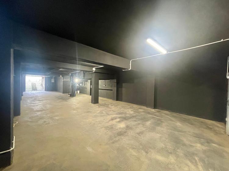 Spațiu industrial  – Zona Victoriei – Str. Teodosie Rudeanu nr. 41, - 4