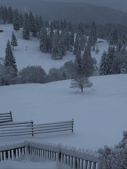 Teren de vanzare la munte in Bucovina - 6