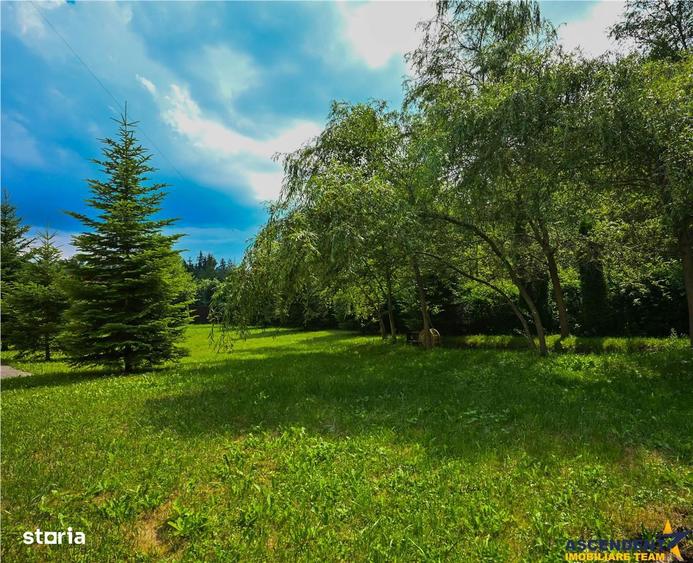 FILM!Refugiu elegant,cadru natural rar, vecinatati discrete,1.700 mp d - 2