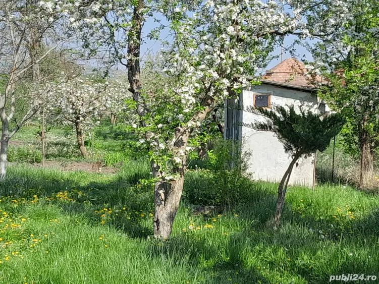 Casa de vanzare - 1