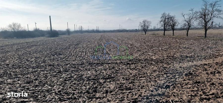 Casa Bradesti , teren intravilan 7952 mp , deschidere 33 m la DE 70 - 12