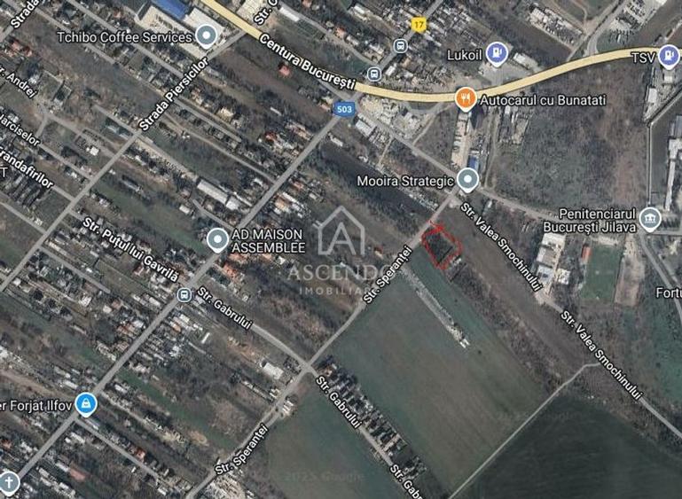 Teren Intravilan 3.000 mp Jilava  Investiție sau Rezidențial - 1