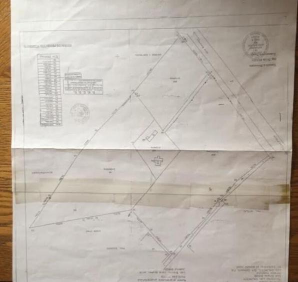Teren de vanzre in Pitesti 53.000 mp + Conac Boieresc - 6