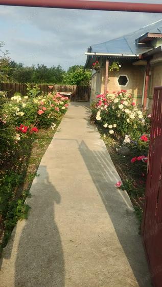 Casa de vanzare Zanoaga Jud.Prahova - 3