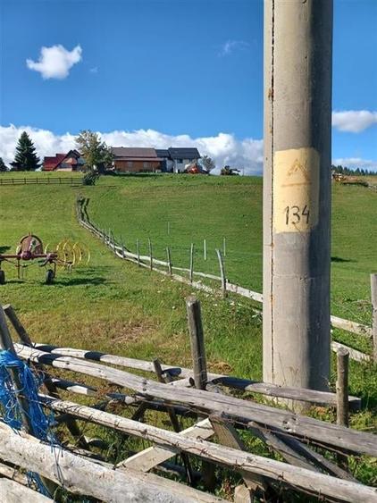 Teren Intravilan Fundata 1421Mp - 3