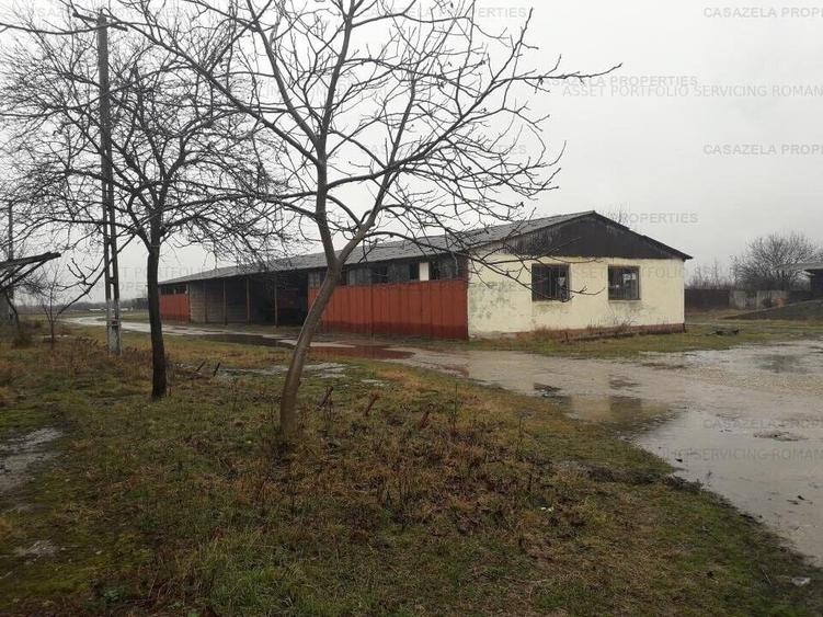 Spatiu industrial CERMEI - 3