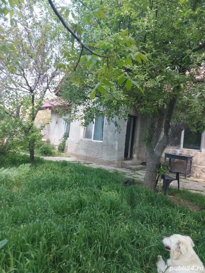 Casa cu gradina mare de inchiriat - 2