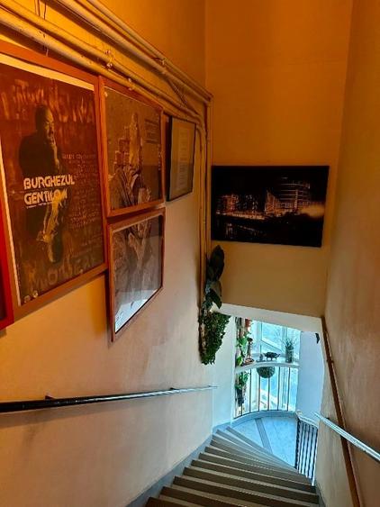 Unirii, Centru Vechi, Cismigiu, casa 4 apartamente, unic - 14