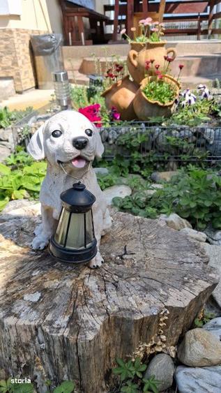 Pensiune, oportunitate excelenta de investitie - 2