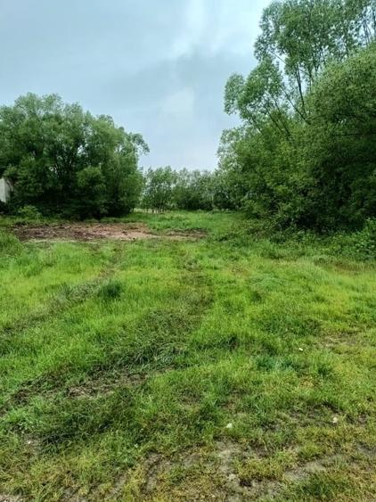 Teren de vanzare intravilan Com Fardea Jud Timis - Langa lacul Surduc - 4