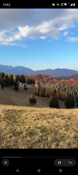 Teren la munte pentru cabanuta intre Breaza si Sinaia