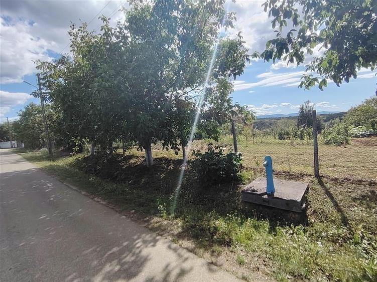 RECO teren intravilan in Saliste de Beius - 1