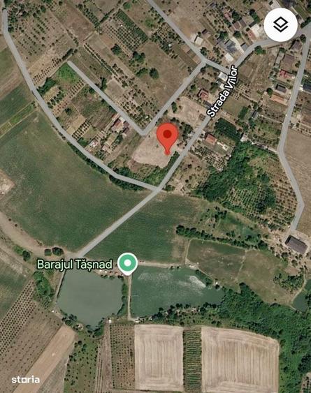 Teren cu pomi fructiferi , vie si loc de casa - 2